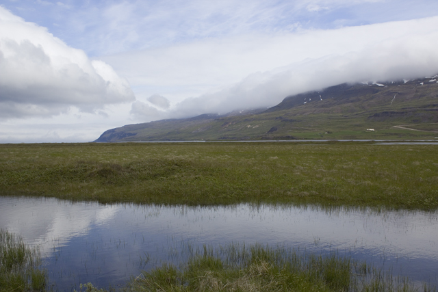 2011-07-04_12-50-59 island.jpg - Letzter Fotostopp am Myvatn